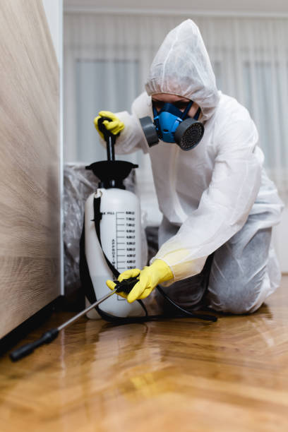 Best Residential Pest Control  in Burbank, IL